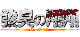 發臭の翔翔 (Big Dick)