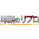 埠頭のリプロ (reprogramming at wharf)