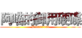 阿喵的御用硬碟 (B10207153)