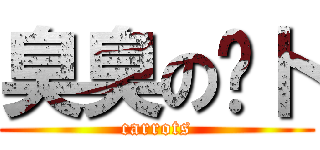 臭臭の萝卜 (carrots)