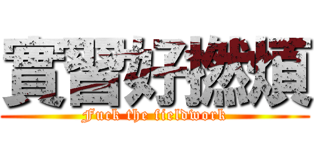 實習好撚煩 (Fuck the fieldwork)