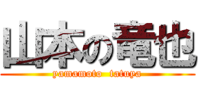 山本の竜也 (yamamoto  tatuya)
