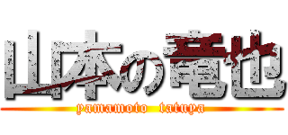 山本の竜也 (yamamoto  tatuya)