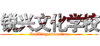 锐兴文化学校 (RuiXing education)