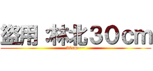 盜用：林北３０ｃｍ (30cm~~)