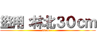 盜用：林北３０ｃｍ (30cm~~)