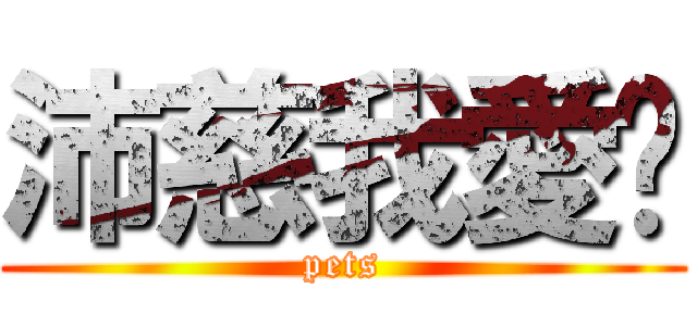 沛慈我愛你 (pets)