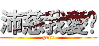 沛慈我愛你 (pets)