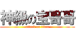 神級の宝哥哥 (attack on titan)