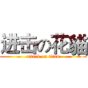 进击の花貓 (attack on titan)