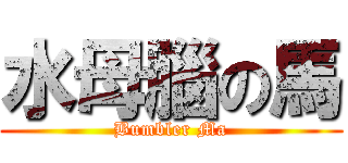 水母腦の馬 (Bumbler Ma)