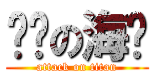进击の海贼 (attack on titan)