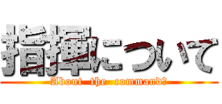 指揮について (About  the  command　)