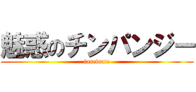魅惑のチンパンジー (fascinate)