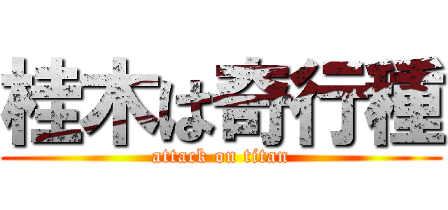 桂木は奇行種 (attack on titan)