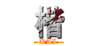 楷 (KAI)
