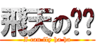 飛天の貓貓 (I can fly ha ha)