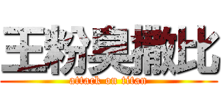 王粉臭撒比 (attack on titan)