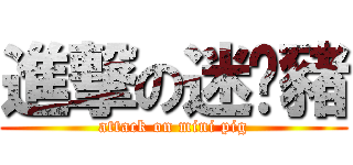 進撃の迷你豬 (attack on mini pig)