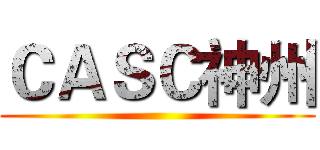 ＣＡＳＣ神州 ()
