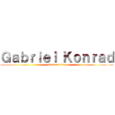 Ｇａｂｒｉｅｌ Ｋｏｎｒａｄ (attack on titan)