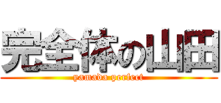 完全体の山田 (yamada perfect)
