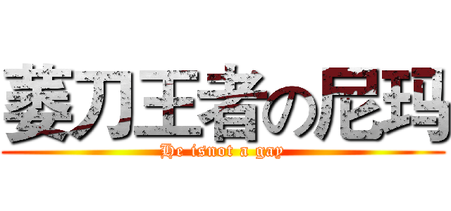 萎刀王者の尼玛 (He isnot a gay)