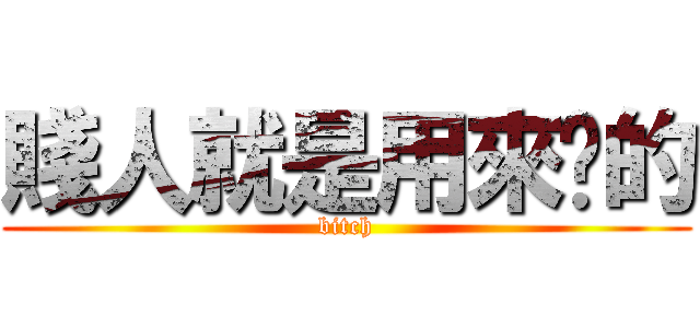 賤人就是用來婊的 (bitch)