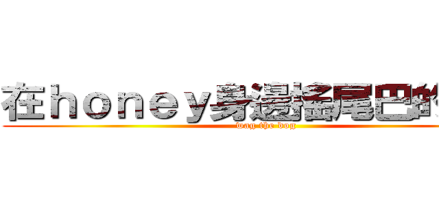 在ｈｏｎｅｙ身邊搖尾巴的小狗 (wag the dog)