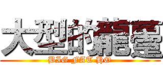 大型的龍躉 (BIG FAT HO)