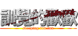 訓覺的歡歡 (sleeping fun fun)
