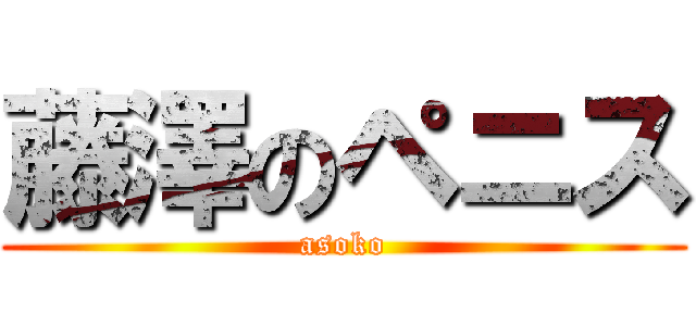 藤澤のペニス (asoko)