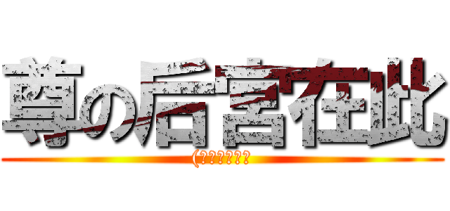尊の后宮在此 ((等等那甚麼?)