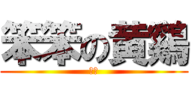 笨笨の黄鷄 (笨笨)