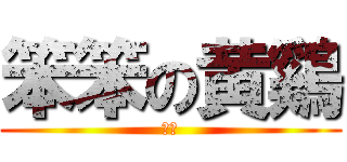 笨笨の黄鷄 (笨笨)