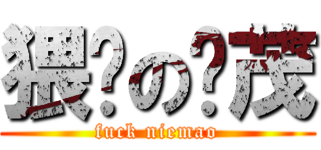 猥琐の聂茂 (fuck niemao)