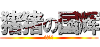 猪猪の国辉 (非你莫属)