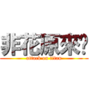 非花原來喔 (attack on titan)