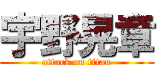 宇野晃章 (attack on titan)