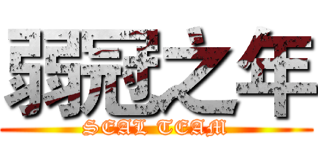 弱冠之年 (SEAL TEAM)