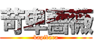 苛卑薔薇 (kapibara)