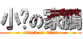 小屌の家鵬 (attack on titan)