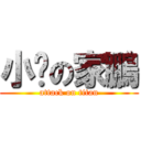 小屌の家鵬 (attack on titan)