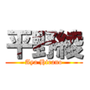 平野綾 (Aya Hirano)