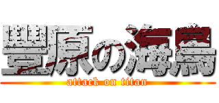 豐原の海鳥 (attack on titan)