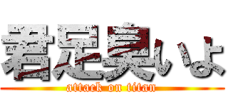 君足臭いよ (attack on titan)