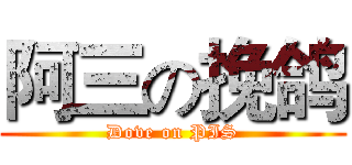 阿三の挽鸽 (Dove on PIS)