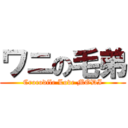 ワニの毛弟 (Crocodile Love MODI)