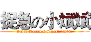 捉急の小斌斌 (Catch Hurry`s Small binbin)