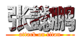 张懿鹏 (attack on titan)